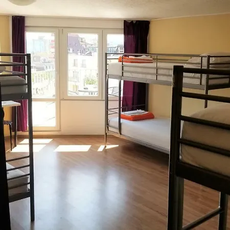 Avocado Hostel